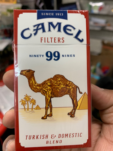 Camel 99