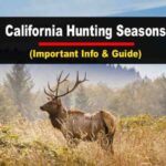 CA Hunting License