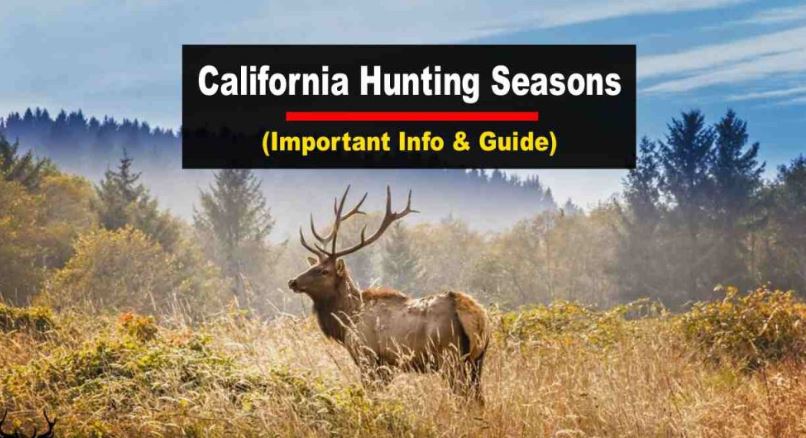 CA Hunting License